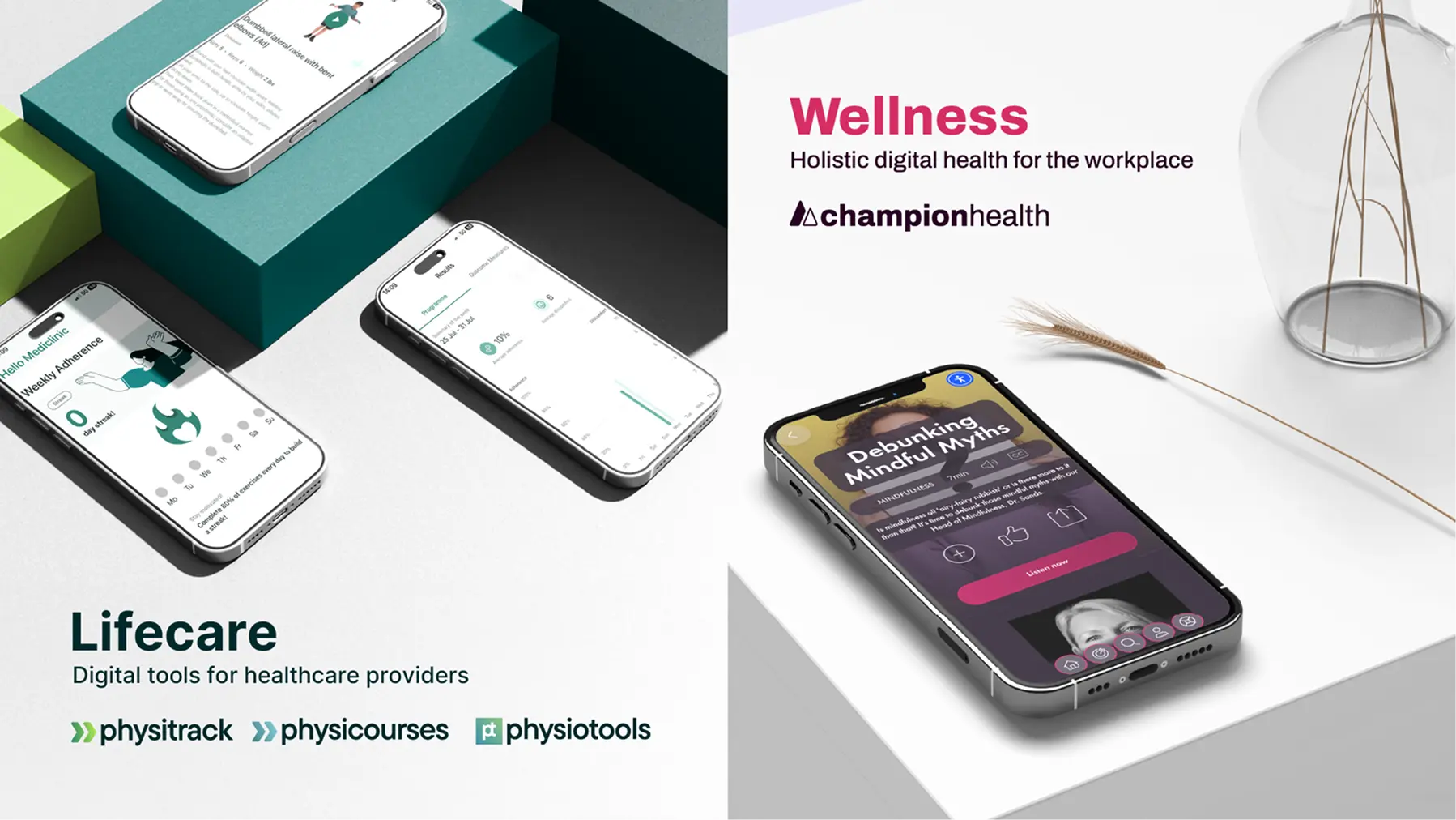 Lifecare and Wellness division content presentation