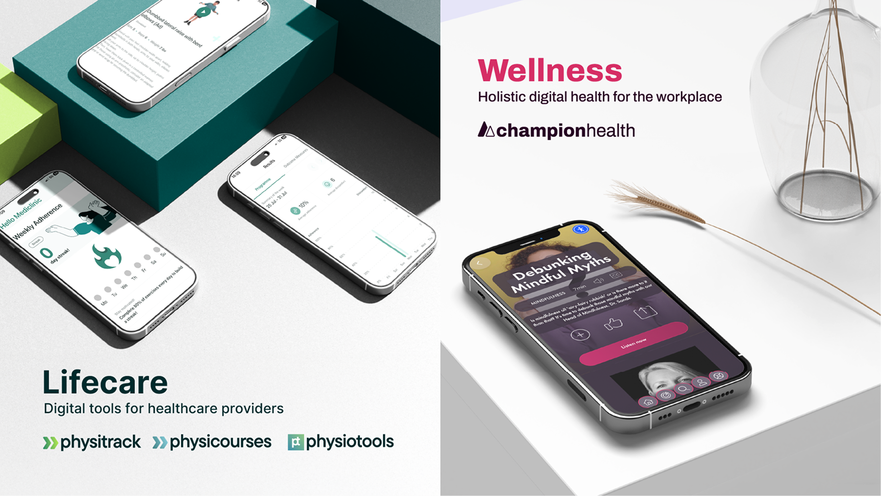 Lifecare and Wellness division content presentation